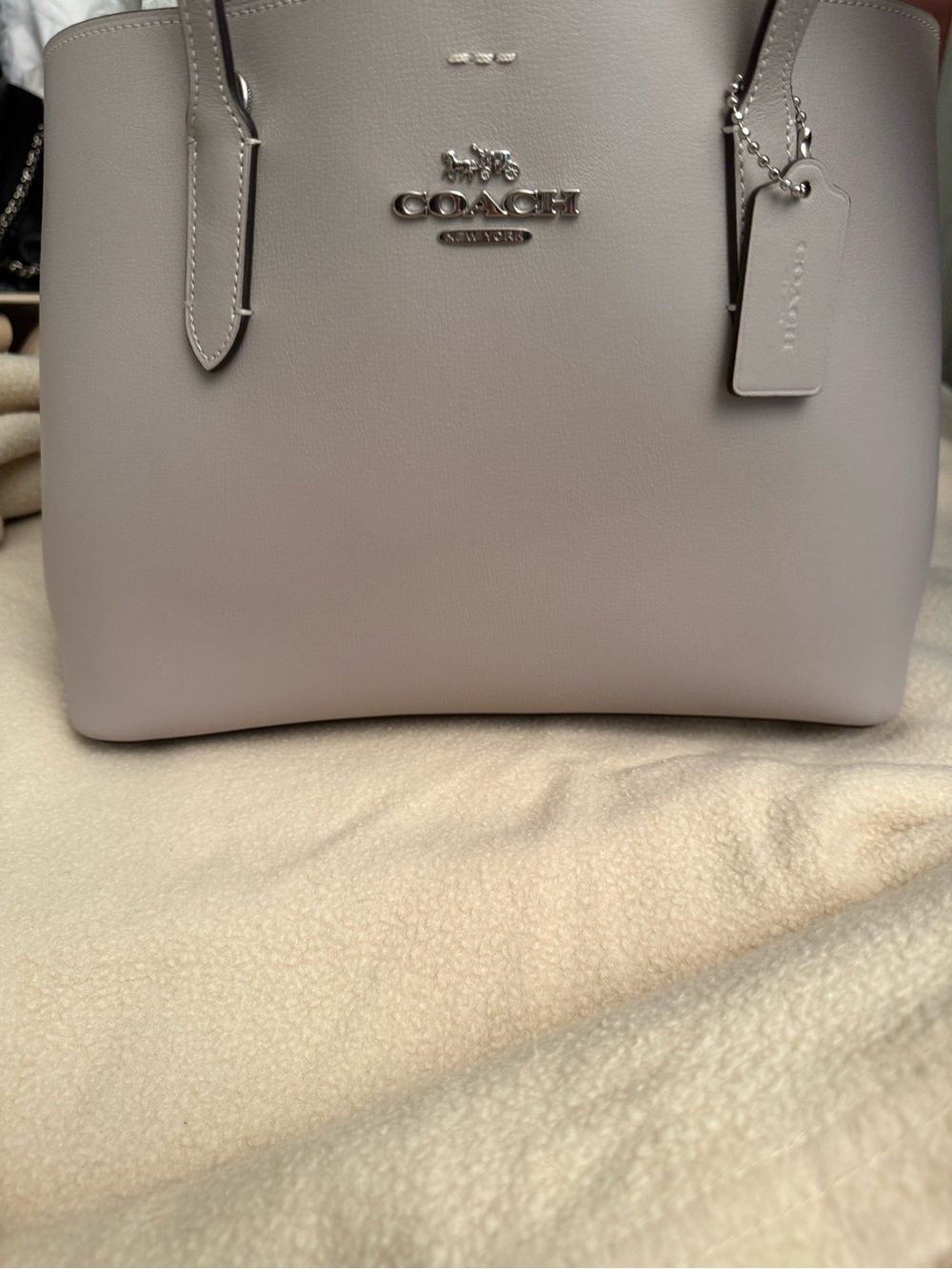 Coach Leather Tote in Light Taupe